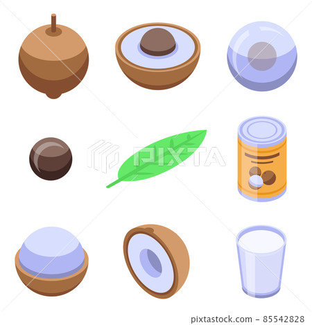 Longan icons set, isometric style Longan icons set, isometric style 85542828