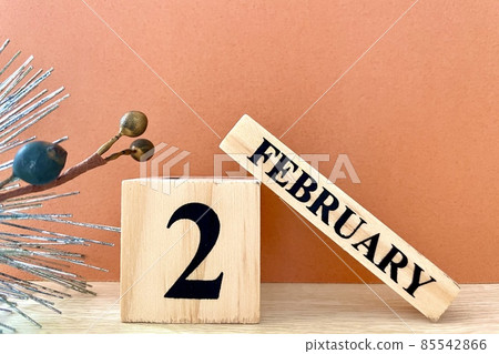 2 月 可用複制空間 如月仲冬圖像 85542866