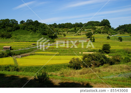 Asuka Village / Inabuchi Asuka Village / Inabuchi 85543008
