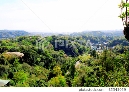 [神奈川] 春天的鎌倉，Kenchoji Hansobo，Katsugamitake 天文台的壯觀景色 85543059