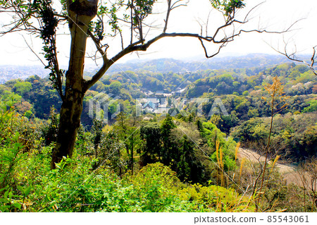 [Kanagawa] Spring Kamakura, Kenchoji Hansobo, a spectacular view from the Katsugamitake Observatory 85543061