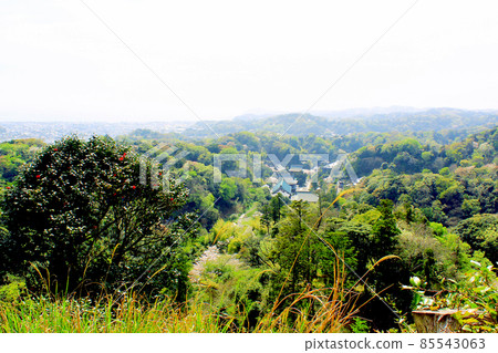 [神奈川] 春天的鎌倉，Kenchoji Hansobo，Katsugamitake 天文台的壯觀景色 85543063