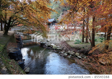 Scenery of the giant bridge and autumn leaves over the mountain gate at the entrance of Buttsuji Temple in Mihara City, Hiroshima Prefecture, and the Buttsuji River 85543168