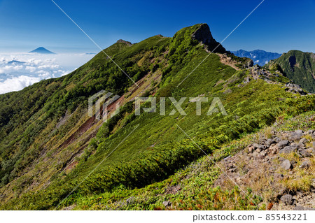 夏季的八嶽山脈、橫岳和富士山 夏季的八嶽山脈、橫岳和富士山 85543221
