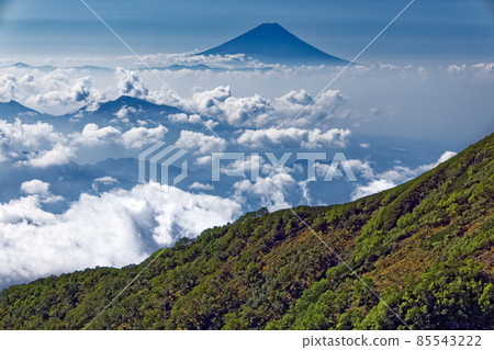 從八嶽山脈和橫嶽山脊看雲上的富士山 從八嶽山脈和橫嶽山脊看雲上的富士山 85543222