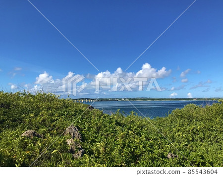 Kurima Bridge seen from Miyakojima Tako Park Kurima Bridge seen from Miyakojima Tako Park 85543604