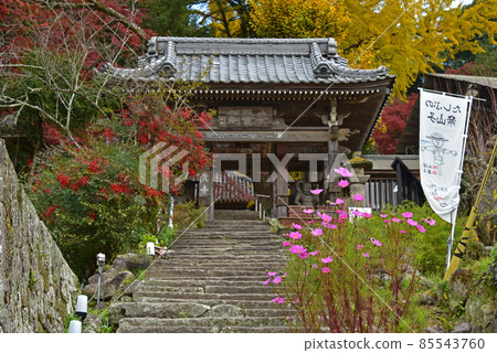 Autumn leaves of Fukiji Temple on the Kunisaki Peninsula, Oita Prefecture Autumn leaves of Fukiji Temple on the Kunisaki Peninsula, Oita Prefecture 85543760