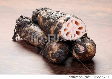 Lotus root with mud 85543785