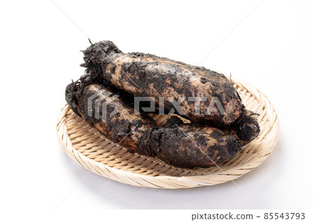 Lotus root with mud 85543793