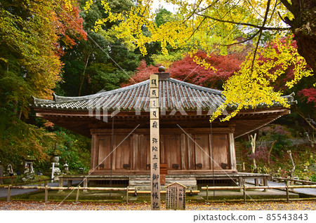 Autumn leaves of Fukiji Temple on the Kunisaki Peninsula, Oita Prefecture 85543843