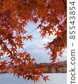 Mt. Fuji in the autumn leaves 85543854