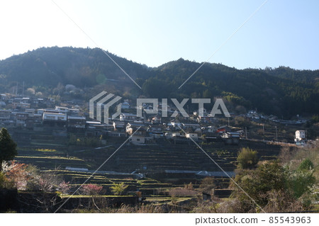 田園風光（高知縣仁淀川町） 梯田 85543963