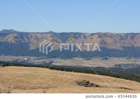 麻生馬戲團 麻生馬戲團 85544830