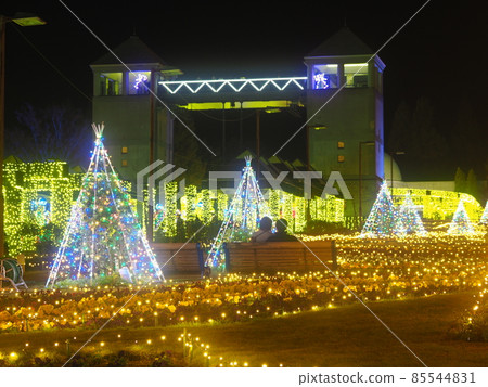 群馬花卉公園燈飾 85544831