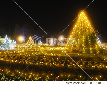 群馬花卉公園燈飾 群馬花卉公園燈飾 85544832