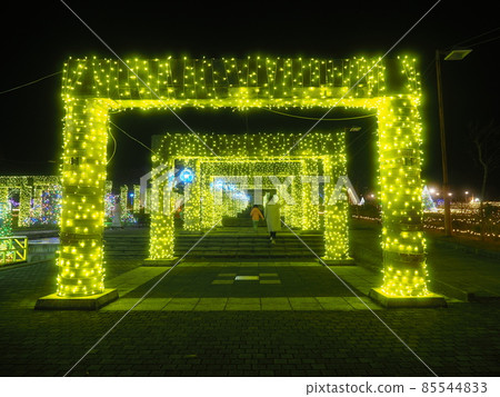 群馬花卉公園燈飾 85544833