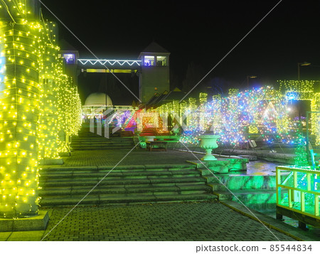 群馬花卉公園燈飾 85544834