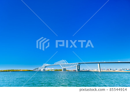 Tokyo Gate Bridge and Mt. Fuji (from Wakasu Seaside Park) 85544914