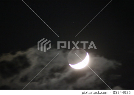 Crescent Moon  85544925