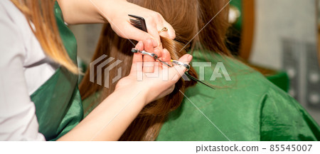 A hairdresser is cutting long hair in a hair salon. 85545007