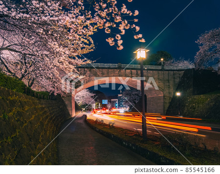 Ishikawa Bridge at night, cherry blossoms and light trails 85545166
