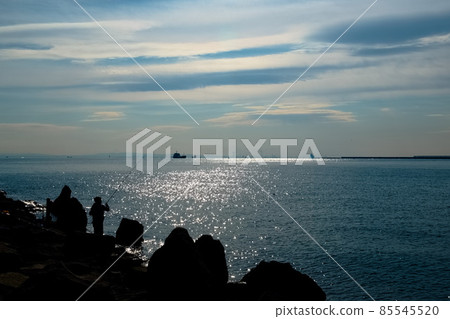 Wakasu Seaside Park's artificial rocky shore Wakasu Seaside Park's artificial rocky shore 85545520