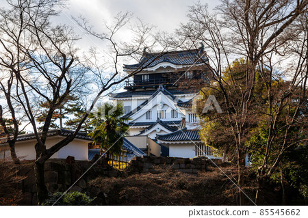 冬天的岡崎城天守閣 冬天的岡崎城天守閣 85545662
