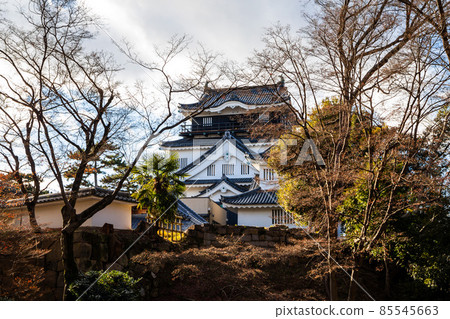 冬天的岡崎城天守閣 冬天的岡崎城天守閣 85545663