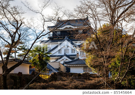 冬天的岡崎城天守閣 冬天的岡崎城天守閣 85545664