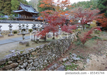 Scenery of the bell tower, the nursery dormitory, the Buttsuji River and the autumn leaves in the precincts of Buttsuji Temple in Mihara City, Hiroshima Prefecture Scenery of the bell tower, the nursery dormitory, the Buttsuji River and the autumn leaves in the precincts of Buttsuji Temple in Mihara City, Hiroshima Prefecture 85545744
