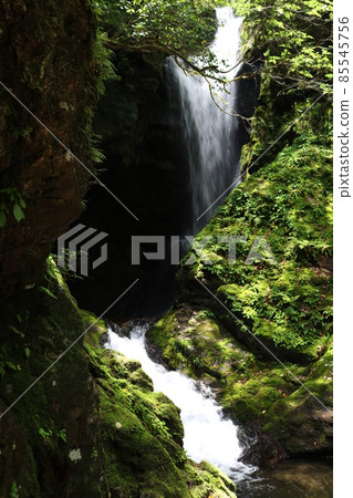 Seto Waterfall (Kuwanokawa, Nankoku City, Kochi Prefecture, Kurotaki Seto Shrine) Seto Waterfall (Kuwanokawa, Nankoku City, Kochi Prefecture, Kurotaki Seto Shrine) 85545756