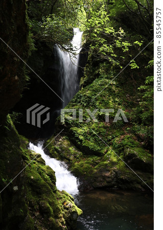 Seto Waterfall (Kuwanokawa, Nankoku City, Kochi Prefecture, Kurotaki Seto Shrine) 85545757