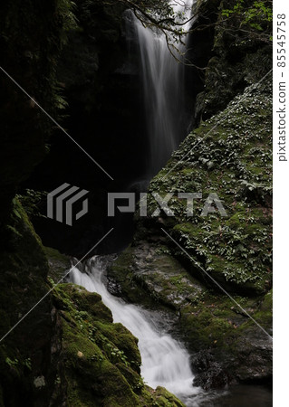 Seto Waterfall (Kuwanokawa, Nankoku City, Kochi Prefecture, Kurotaki Seto Shrine) 85545758