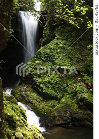 Seto Waterfall (Kuwanokawa, Nankoku City, Kochi Prefecture, Kurotaki Seto Shrine) Seto Waterfall (Kuwanokawa, Nankoku City, Kochi Prefecture, Kurotaki Seto Shrine) 85545762