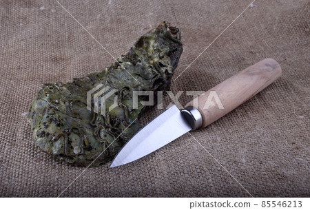 Oyster and knife on bagging 85546213