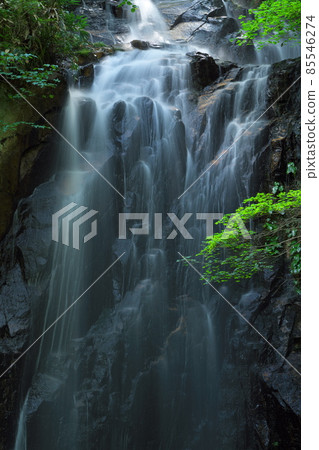 仲夏 Toyanomeoto Falls Husband Waterfall 1 岡山縣津山市 仲夏 Toyanomeoto Falls Husband Waterfall 1 岡山縣津山市 85546274