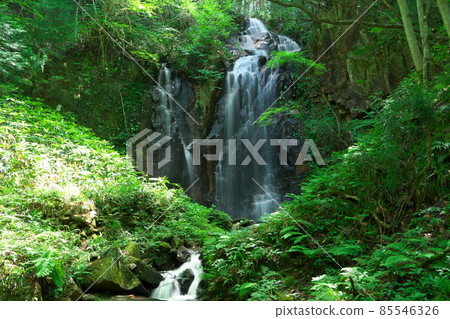 Midsummer Toyanomeoto Falls 8 Tsuyama City, Okayama Prefecture Midsummer Toyanomeoto Falls 8 Tsuyama City, Okayama Prefecture 85546326