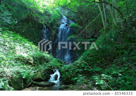 岡山縣津山市的盛夏 Toyanomeoto 瀑布 6 85546333