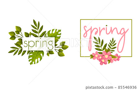 Spring Frame with Green Foliage and Leafy Plant Vector Set Spring Frame with Green Foliage and Leafy Plant Vector Set 85546936