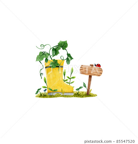 watercolor illustration of a spring vegetable garden with a rubber boot and wooden signpost (freehand) watercolor illustration of a spring vegetable garden with a rubber boot and wooden signpost (freehand) 85547520