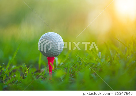 Golf ball on tee in a beautiful golf course with morning sunshine. Golf ball on tee in a beautiful golf course with morning sunshine. 85547643