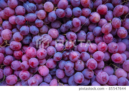 Close up of raw organic sweet red grapes background. Close up of raw organic sweet red grapes background. 85547644