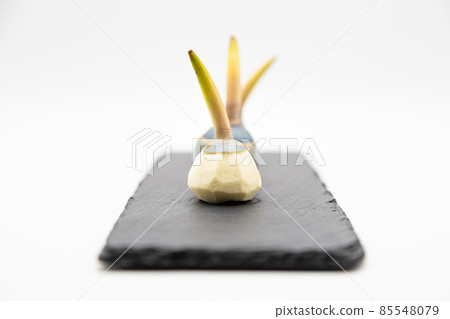 Cute looking Kwai Cute looking Kwai 85548079
