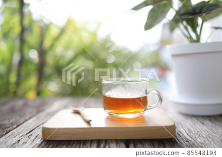 Tea in glass cup with alocasia silver dragon plant Tea in glass cup with alocasia silver dragon plant 85548193