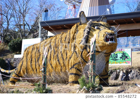 Awagakidake summit 85548272