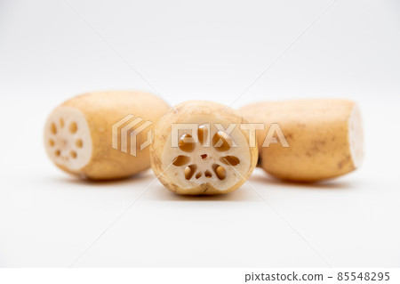 帶孔蓮藕根菜 85548295