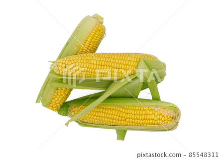 Fresh maize or corn on the cob Fresh maize or corn on the cob 85548311