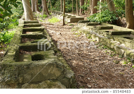 佐倉城跡公園的軍用廁所遺跡（千葉縣佐倉市） 85548483