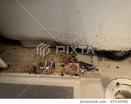 Around the drain under the bath tub dirty with black mold Around the drain under the bath tub dirty with black mold 85548498