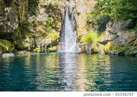 Abundance Abundance 85548787